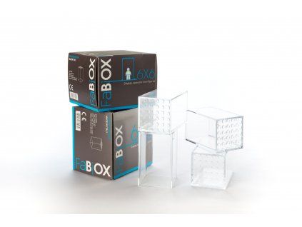 FX009