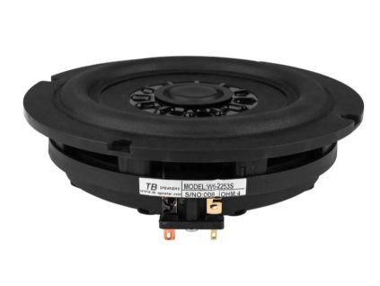 Tang Band W6 2253S Subwoofer