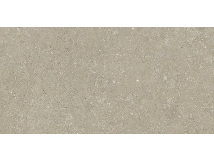 Del Conca Wild HWD211 Greige 60x120 Rett. (tl. 2cm)