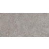 Pastorelli Mindwalk MW Grey 60x120 Rett. (tl.2cm)