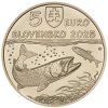 5 euro Slovakia 2025 - Huchen Danubian