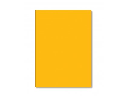 9163 exchange tablet jacket saffron pouzdro pro ipad air 2