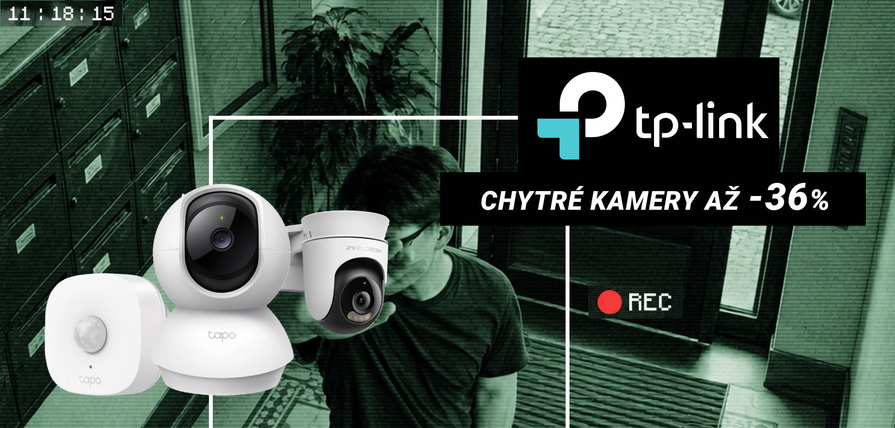 TP-Link kamery