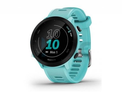 Garmin Forerunner 55 Blue