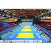Tatami na judo AGGLOREX 2x1m 4cm