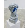 HEAD OF MICHELANGELO'S DAVID _ BOWIE // SILVER