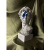 HEAD OF MICHELANGELO'S DAVID _ BOWIE // SILVER