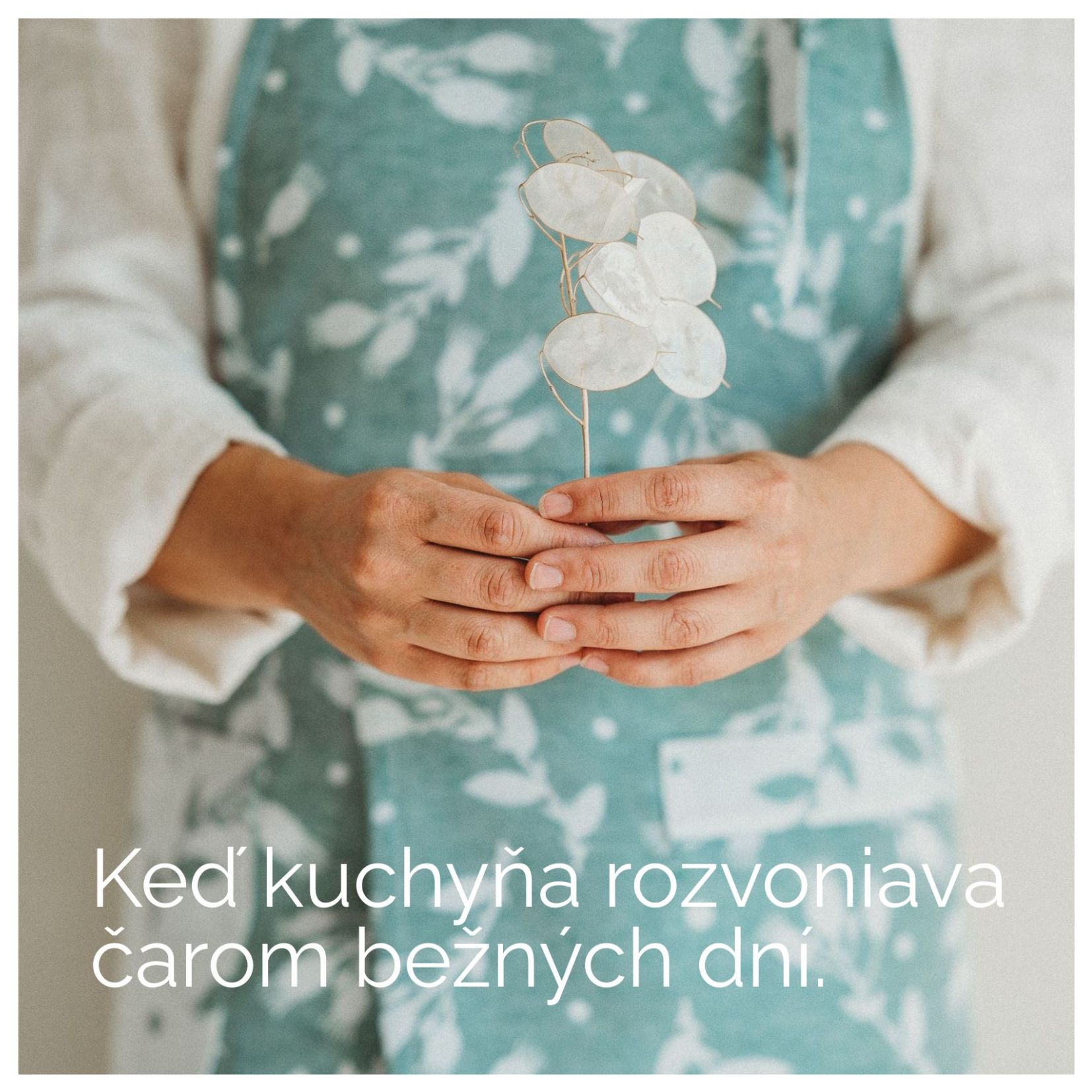 Kuchynské zástery