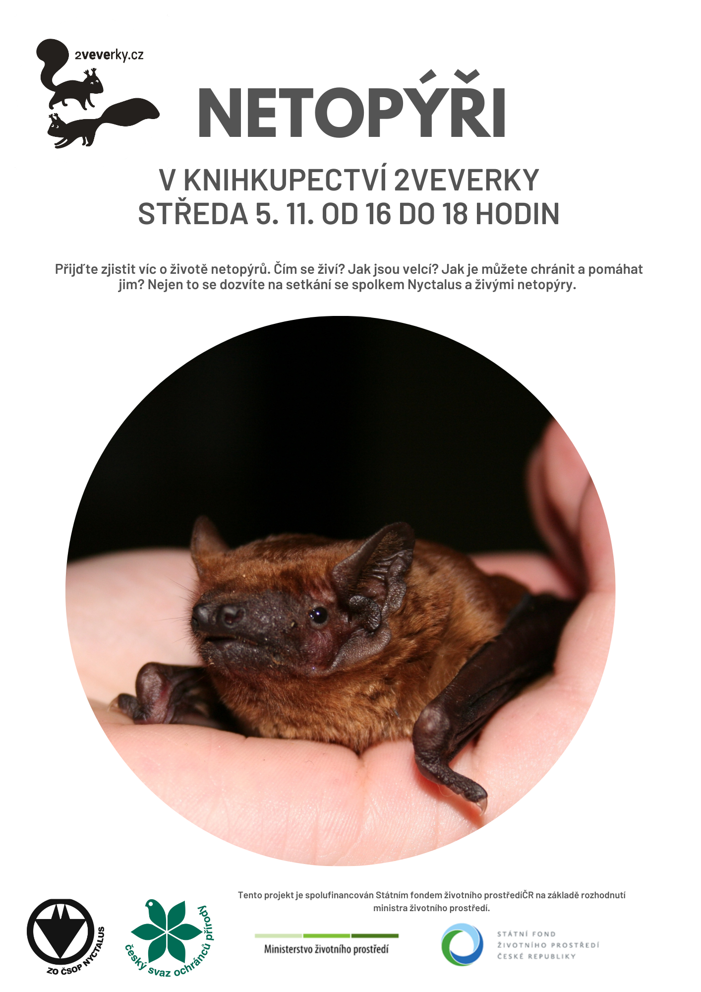 Netopýři v knihkupectví