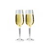 11581 plastove poharky na sampanske gsi outdoors nesting champagne flute set