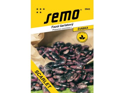 76ead979 9909 4d05 8c40 e8fc23fb855b