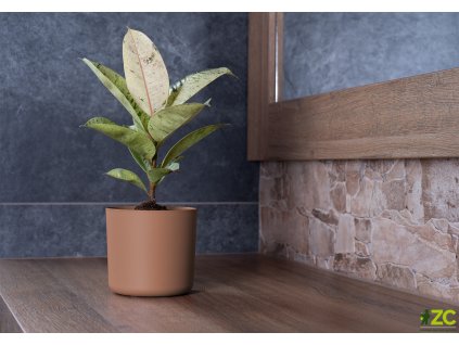 fe45d301 a5fa 46c1 bb56 a6e70588626f