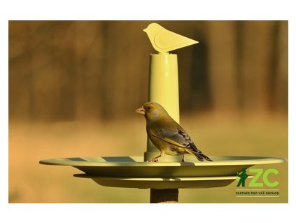 Pítko pro ptáky - FINCH olivová