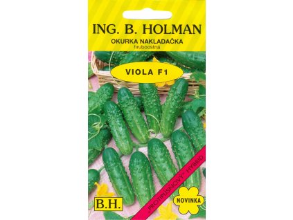 Okurka nakl. Holman - Viola F1 hr 2,5 g