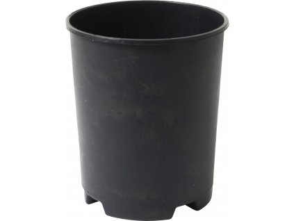 Kontejner růže - 2 l