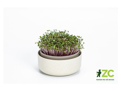 Klíčící miska MICROGREENS - slonová kost s kávovou sedlinou