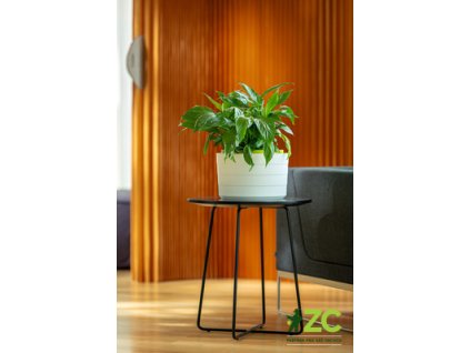 Květináč samozavlažovací Berberis velkoobjemový - bílá + zelená 55 cm