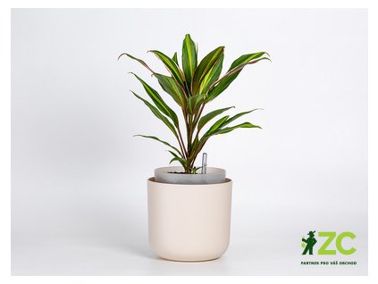 Květináč samozavlažovací Tolita - slonová kost 16 cm