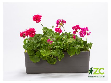 Truhlík samozavlažovací Berberis - antracit + zelená 60 cm