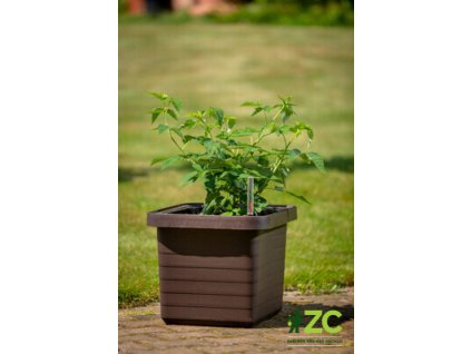 Truhlík samozavlažovací Berberis Uno - čokoládový 45 cm