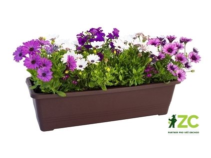 Truhlík samozavlažovací Bergamot - čokoládový 50 cm