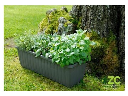 Truhlík samozavlažovací Siesta LUX - antracit 100 cm