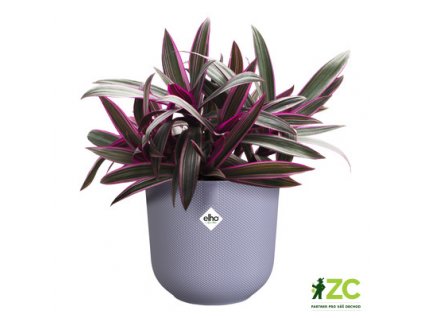 Obal Jazz - lavender lilac 14 cm