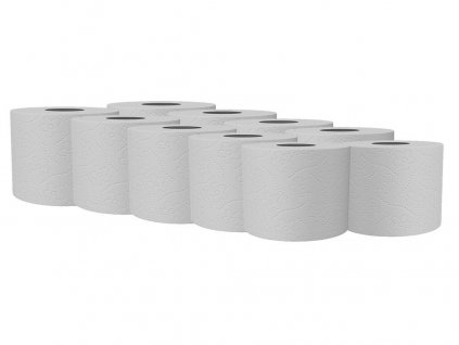 Toaletní papír 2-vrstvý, 10ks