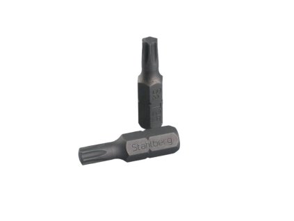 Bit STAHLBERG T 25 25mm S2 (2 ks)