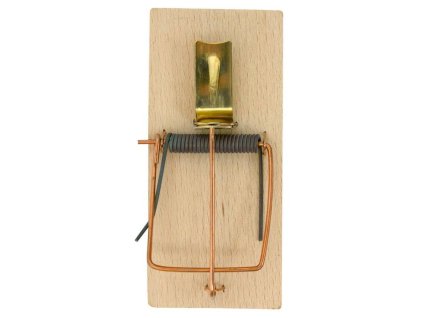 150112 Past na mysi drevena standard 0a