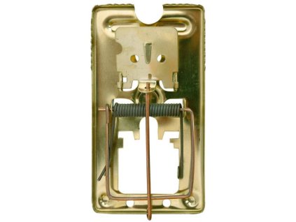 150116 Past na mysi pomosazena 0a