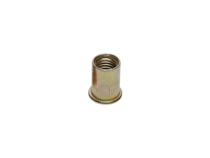124051Q1 Hlavice do nytovacich klesti pro nytovaci matice M10 0a