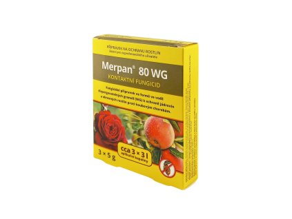 336d7c5c 2c8e 40bd 8b4a ce34ed626266