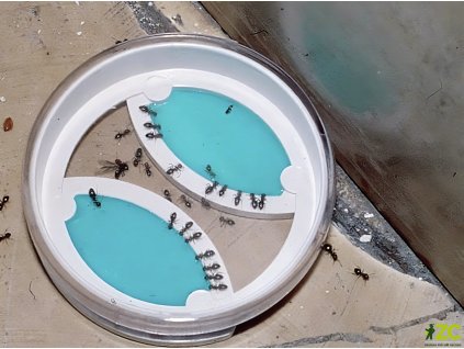 181a4d78 a598 43c3 9e24 6fe35bd713e8