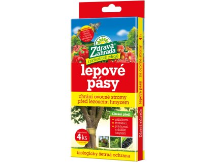 93cdc2f8 18d2 4b37 930e 0a5534c898f1