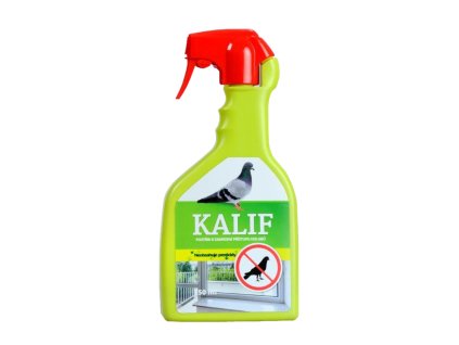 043a8f03 7d86 4e0c b499 3bb846a5d7ea