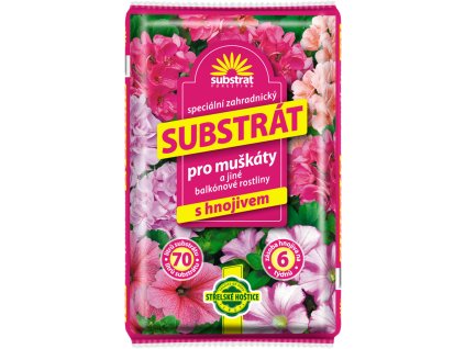 ae8acbaa 354e 47d9 92db 504168419826