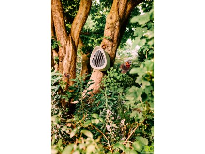 7f1e1ab9 f7a1 4a6a b9ed 4f316518cf41