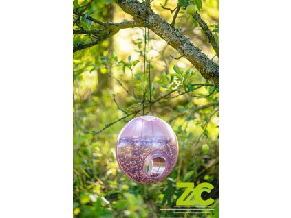 dd93c952 882a 4c2e 8582 01f1f691522f