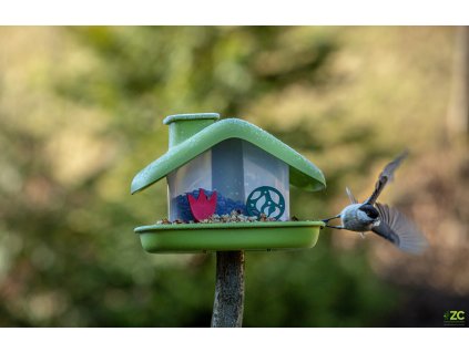 cd318803 46fc 450e 9b0d 15cfc8a67d70