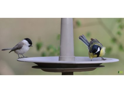 72fdcf25 158d 4e84 9ecf 5e851ed4fc34