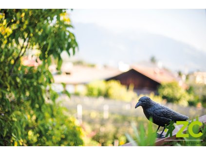 af7e163d 5d68 4327 8a60 0ab85e3d0333