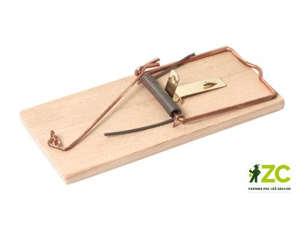 3219f285 755c 44da b48e 3365cb5521d9