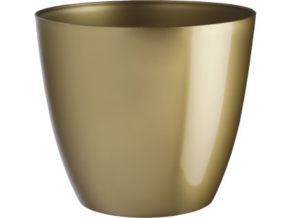 ab02889e bd69 436a 9625 144516b61044