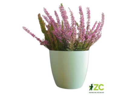 39542abb e43d 4b06 8634 f08927dc10c9