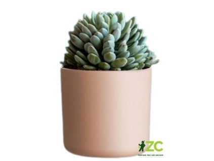 87394f8b 22f9 4fd8 8762 59c85acfc416