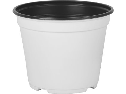 6f98be21 1270 469c bbf0 3c8d3cf33e00