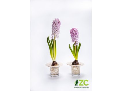 76f76aa3 6145 47e7 a9af 4a5e0a56b834