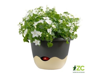 7bb4d561 5dcf 44a1 a28a 02c632ee47b8