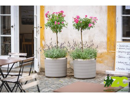 cd568adf 4a29 46d1 96fd 9f379a5072e5